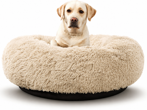 Calm & Cozy Bundle