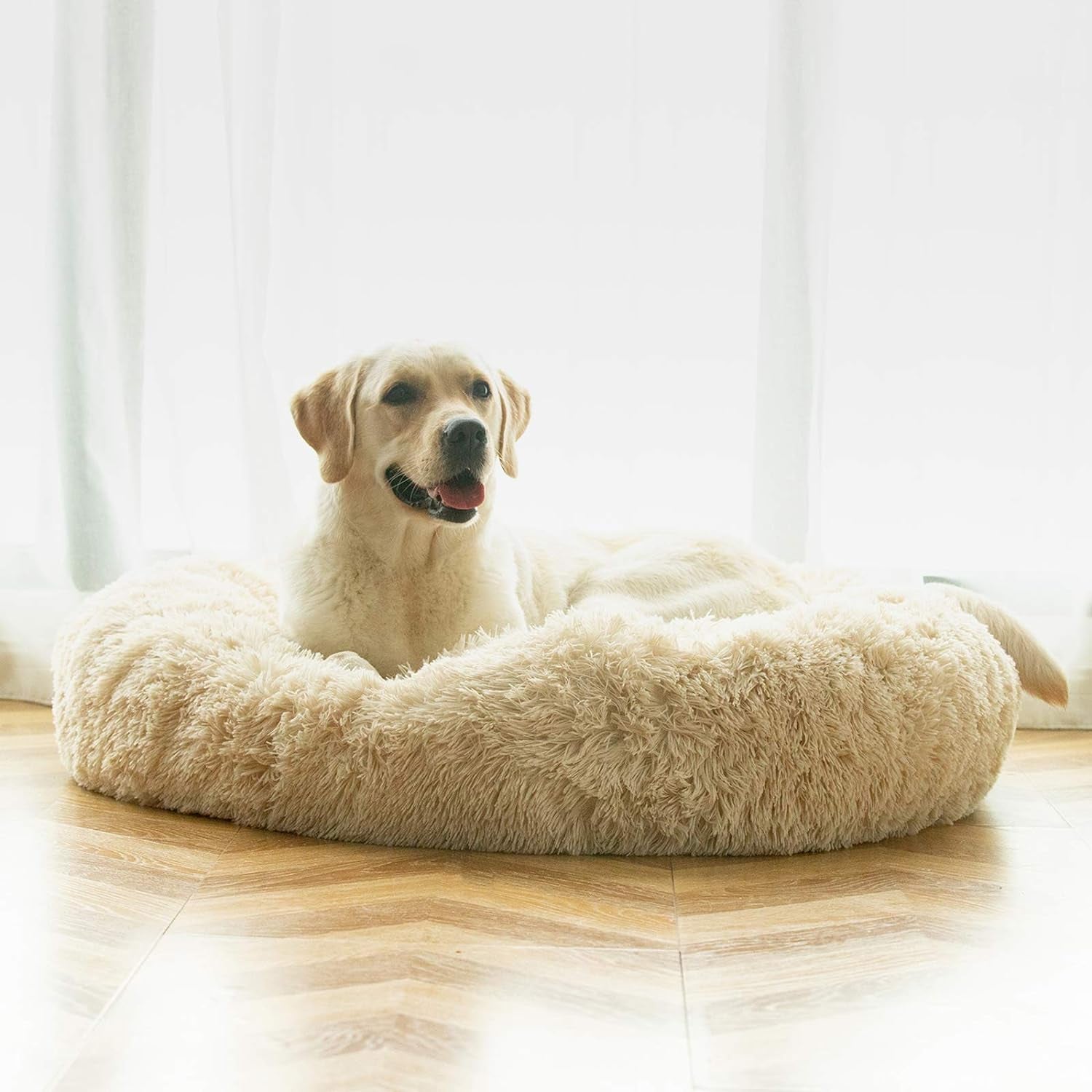 Furlio CloudCalm Washable Calming Dog Bed
